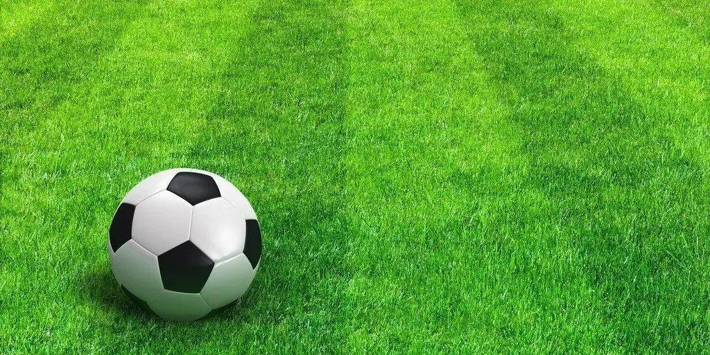 体育记者使用捷报比分工作